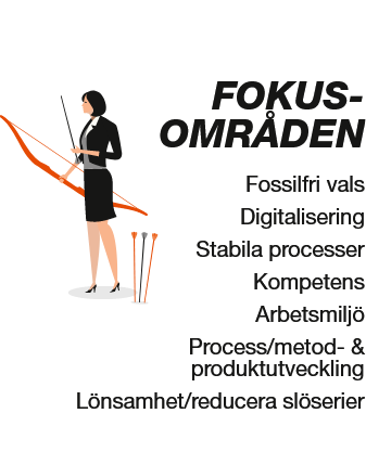 Fokusområden